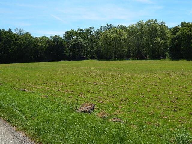Blick von der neuen Schotterstraße auf den Grillplatz