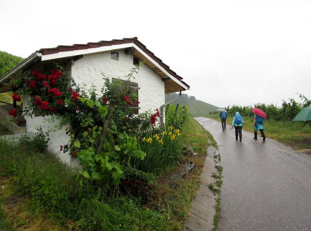 Eines der schönen Weinberghäuschen in Heilbronn