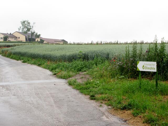 An der Ölmühle kamen die Wanderer auf ihrer Regentour auch vorbei.