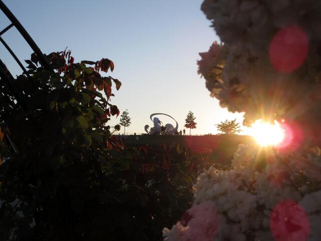 Das Spiel von Schatten und Licht hat was.