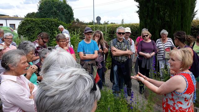 Interessiert hören die Teilnehmer den Ausführungen im Kräutergarten zu
