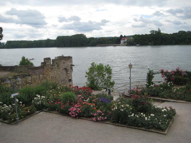 Blick auf den Rhein