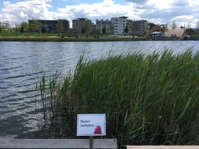 Karl am Karlssee