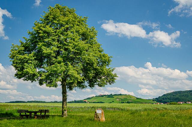 Ein Sommertag im Zabergäu