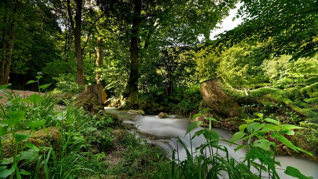 Zauberfluss