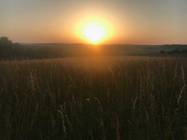 Besonderer Sonnenuntergang bei Abstatt