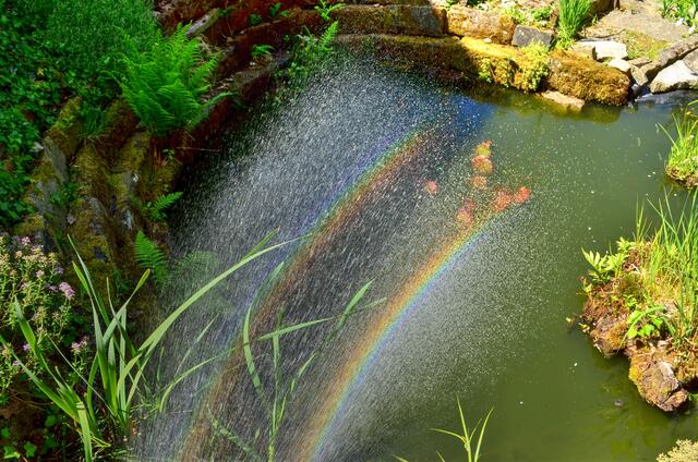Zauberei mit dem Gartenschlauch