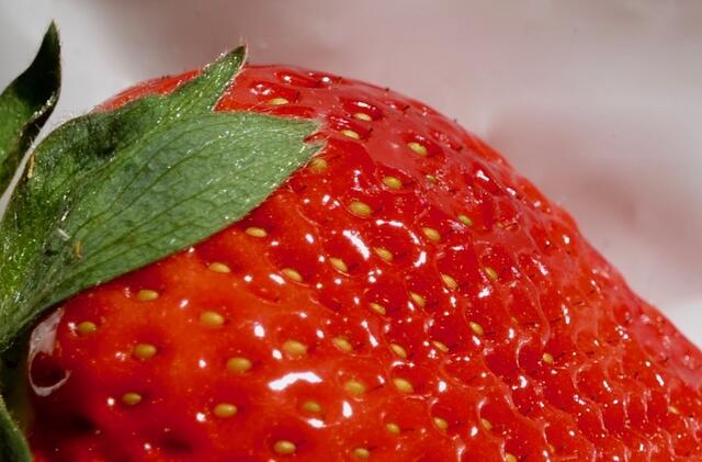 Sommer und Erdbeeren gehören einfach zusammen