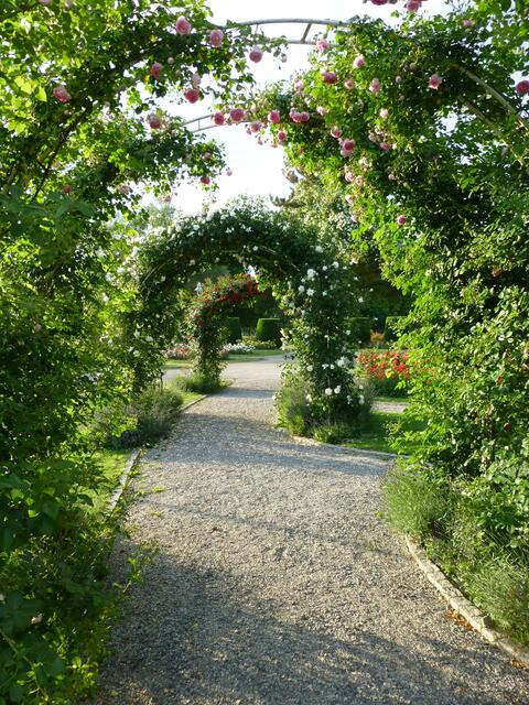 Rosenspalier Wertwiesenpark Heilbronn