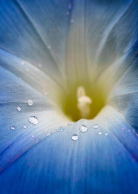 Auch der kleinste Wassertropfen tut im Sommer gut
