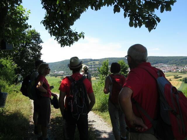 Die Wanderer genießen den Ausblick und diskutieren über die Burg am rechten Neckarufer. Die Burg ist allerdings das Schloss Neuburg.