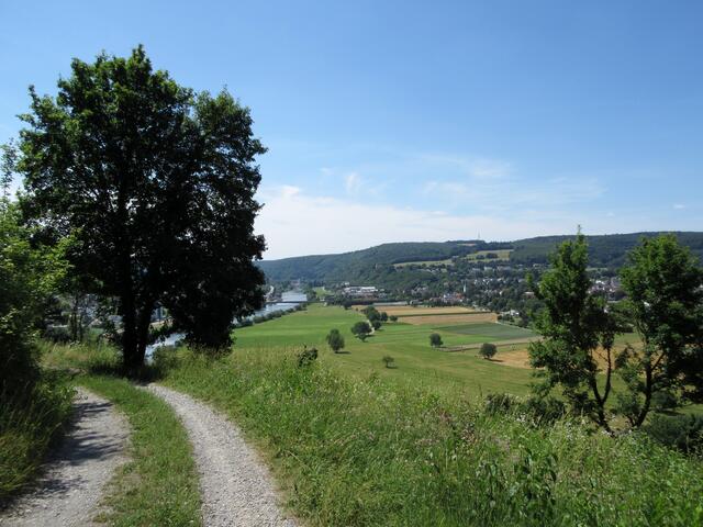 Sommer bedeutet für uns herrliche Mittwochsausflüge mit traumhaften Aussichten vom Neckarsteig