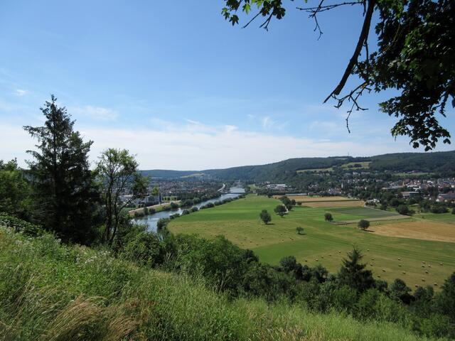 Hier kann man sich nicht auf die Schilder verlassen, sonst verpasst man das schönste Stück Weg auf dieser 7. Etappe. Aussicht rechts Obrigheim, links Diedesheim