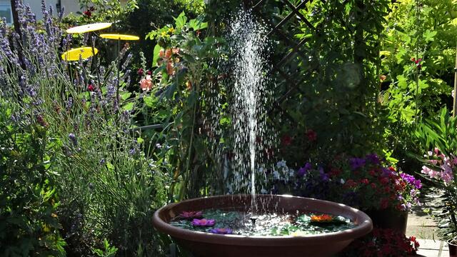 Unser kleiner Solar-Springbrunnen, erfrischt schon beim Hinsehen.