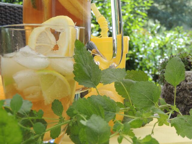 Auf der Terrasse einen Sommerdrink geniesen
