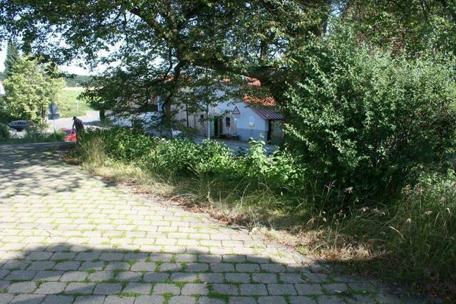 Wie schnell alles gewachsen ist