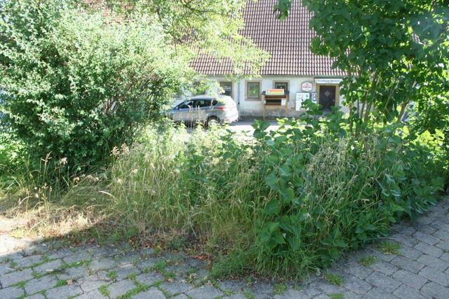 Hier wächst alles sehr gut