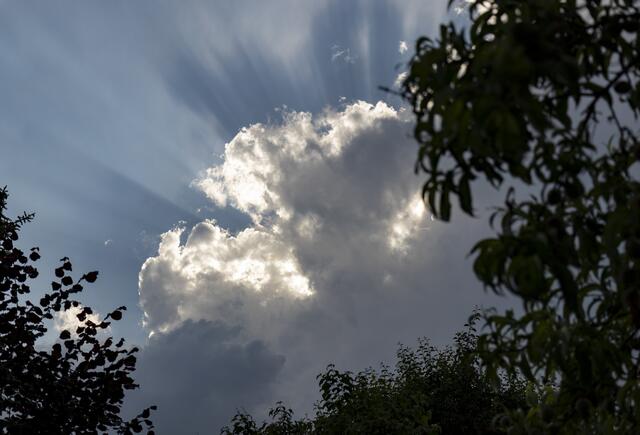 Sonnenstrahlen