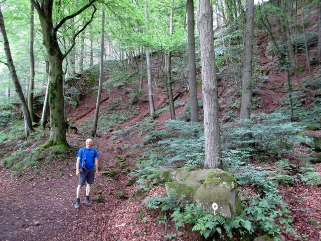 Bannwald. In Komoot schreibt jemand vom "Liebesstein" und meint damit das Steingebilde im Vordergrund. Näheres wurde dazu aber nicht gefunden.