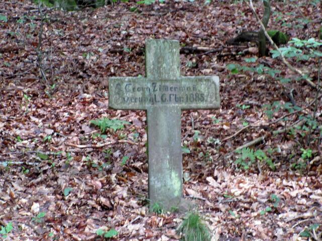 Das Bild ist etwas unscharf, der Aufnahme fehlt das Licht. Allerdings war der schattige Wald eine Wohltat bei der Juli-Wanderung.
