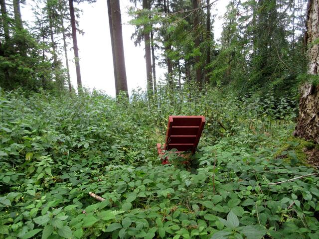 Hier saß wohl schon seit Längerem keiner mehr. Man könnte aber über den Neckar nach Michelbuch und Grein sehen, wenn man gegen Brennnessel resistent wäre.