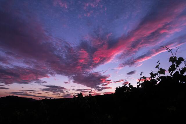 Sonnenuntergang über'm Weinsberger Tal