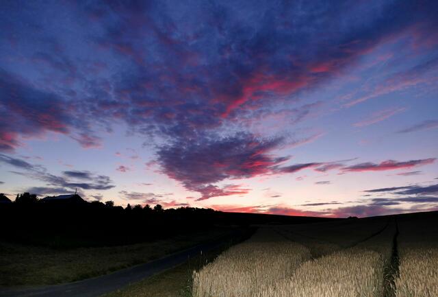 Sonnenuntergang hinter Weizenfeld