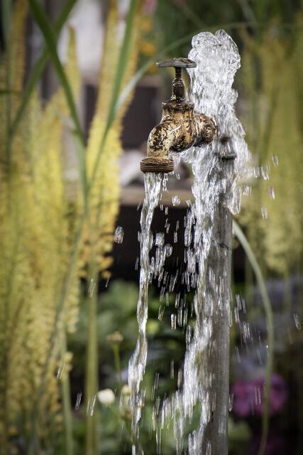 Sommer ist... erfrischendes Wasser (BUGA)