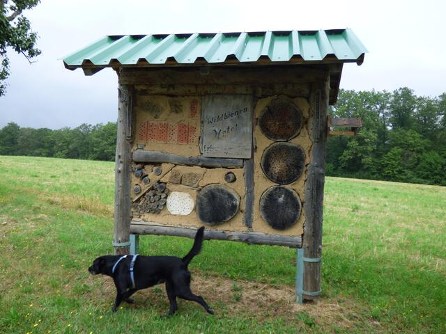 Ein tolles Insektenhotel