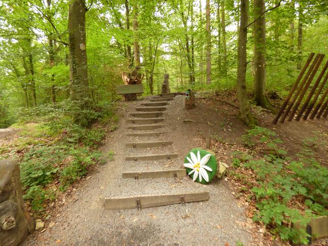 Der Beginn der Himmelsleiter - ein Edelweiß heißt die Wanderer willkommen