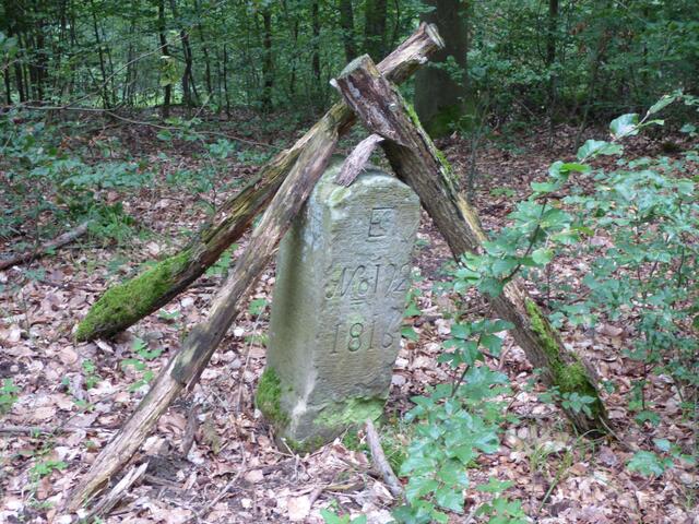 Am Wegesrand finden sich einige Grenzsteine, die mit solchen Ästen bedeckt sind.