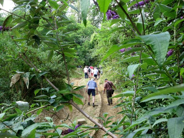 Im Steinbruch blüht es.