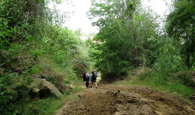 Wo führt Herr Holz uns hin?