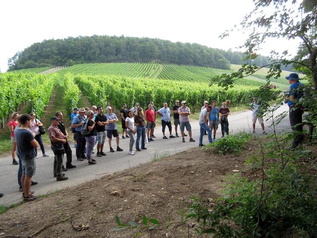 Erster Halt: Kurze Infos zum Sontheimer Wald und den Abteilungssteinen des Verschönerungsvereins.