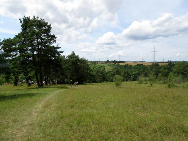 Naturschutzgebiet Heulerberg