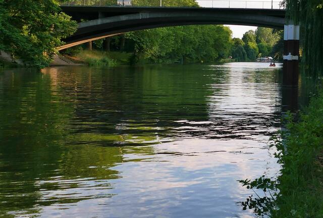 Sommer in Heilbronn, an der Rosenbergbrücke