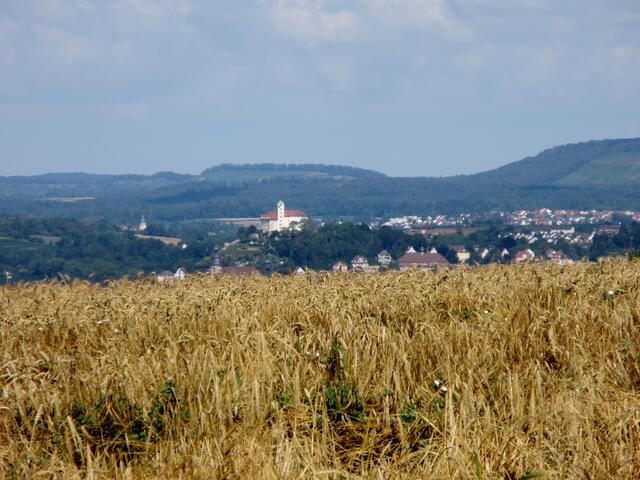 Im Hintergrund das Vaihinger Schloss. Genauer Schloss Kaltenstein, das als Wahrzeichen der Stadt Vaihingen gilt.