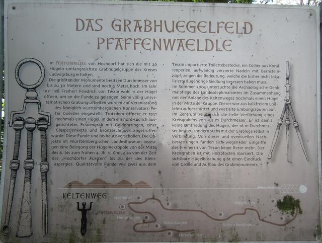 Durch die Abkürzung der Wanderung kamen sie auch noch am Hügelfeld im Pfaffenwäldle vorbei.