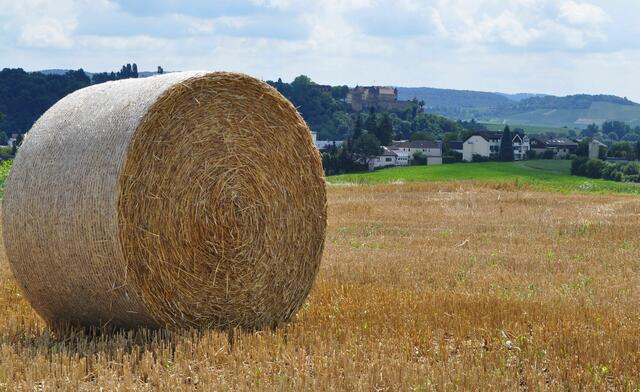 Sommer in Untergruppenbach