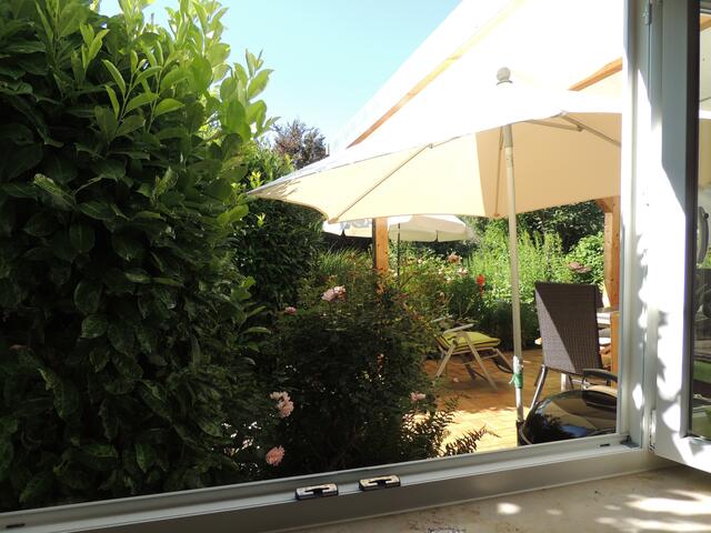 Blick zum Fenster hinaus in den Sommergarten
