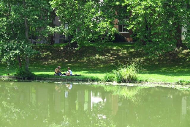 Sommer am Neckar in Heilbronn