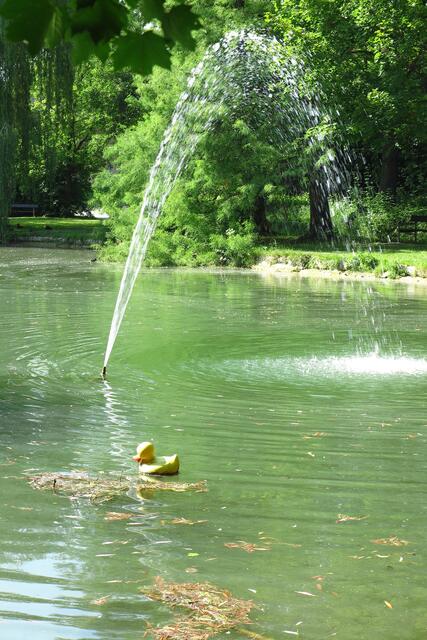 Wasserspiel mit Gummiente