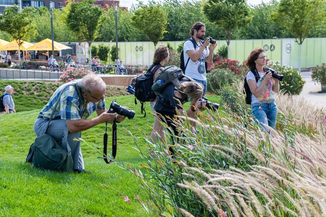 Die Buga bietet unendlich viele Motive. | Foto: Mario Berger