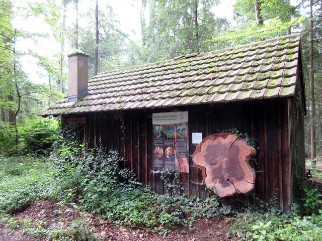Bei der Zankhauhütte befindet sich ein Arboretum.