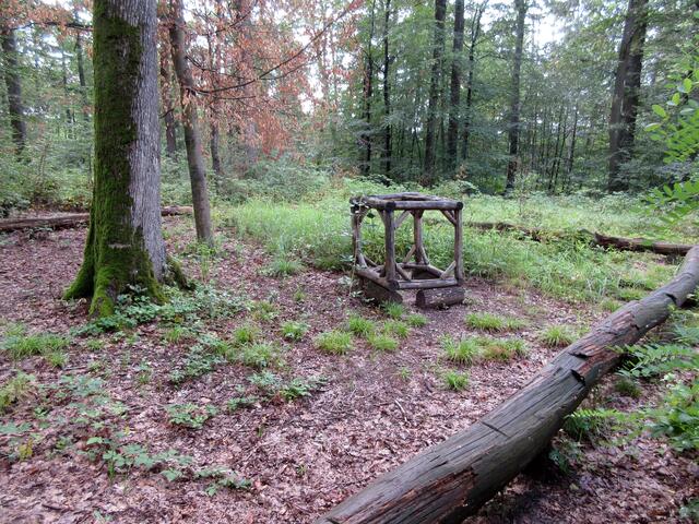 Die rutschigen Baumstämme umgrenzen ein Ar. 10 x 10 m, als 100 qm. Es kommt einem so klein vor, wenn man überlegt dass viele Wohnungen nicht mal 80 qm haben. In der Mitte ein Kubikmeter.
