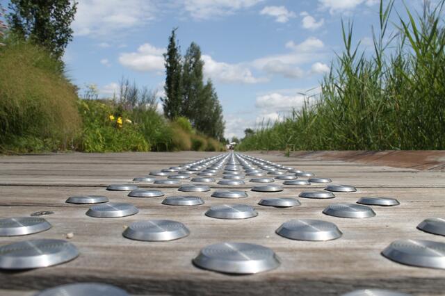 Foto: Katja Bernecker