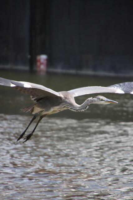Abflug