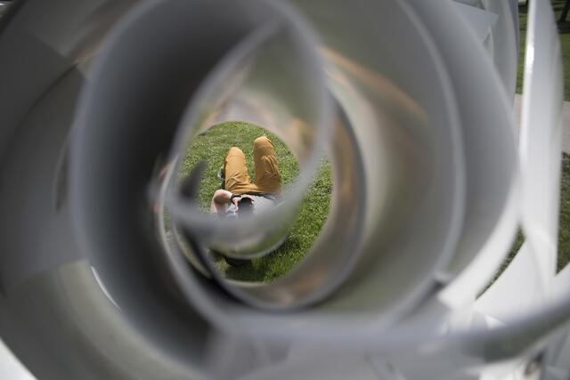 Blick durch die Blume