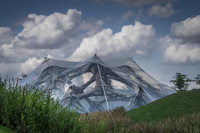 Ufo ? Oder Spinnennetz oder ?