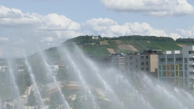 Foto:  Petra Boehringer  DMC  TZ 101  F/8 1/500 Iso 125  B:38mm